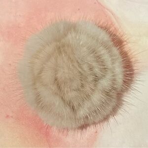 🌺🌹High-End Luxury Mink Faux Fur Beige Soft Rose Flower Brooch Pin Accessory